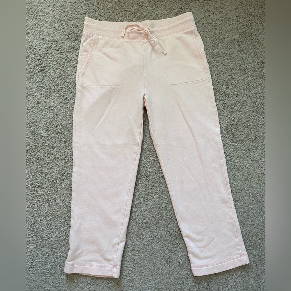 Super cute Soft Surroundings sweat pants EUC!!